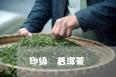 印级 普洱茶/2023042726501